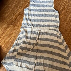 Stem Blue and White Striped Dress